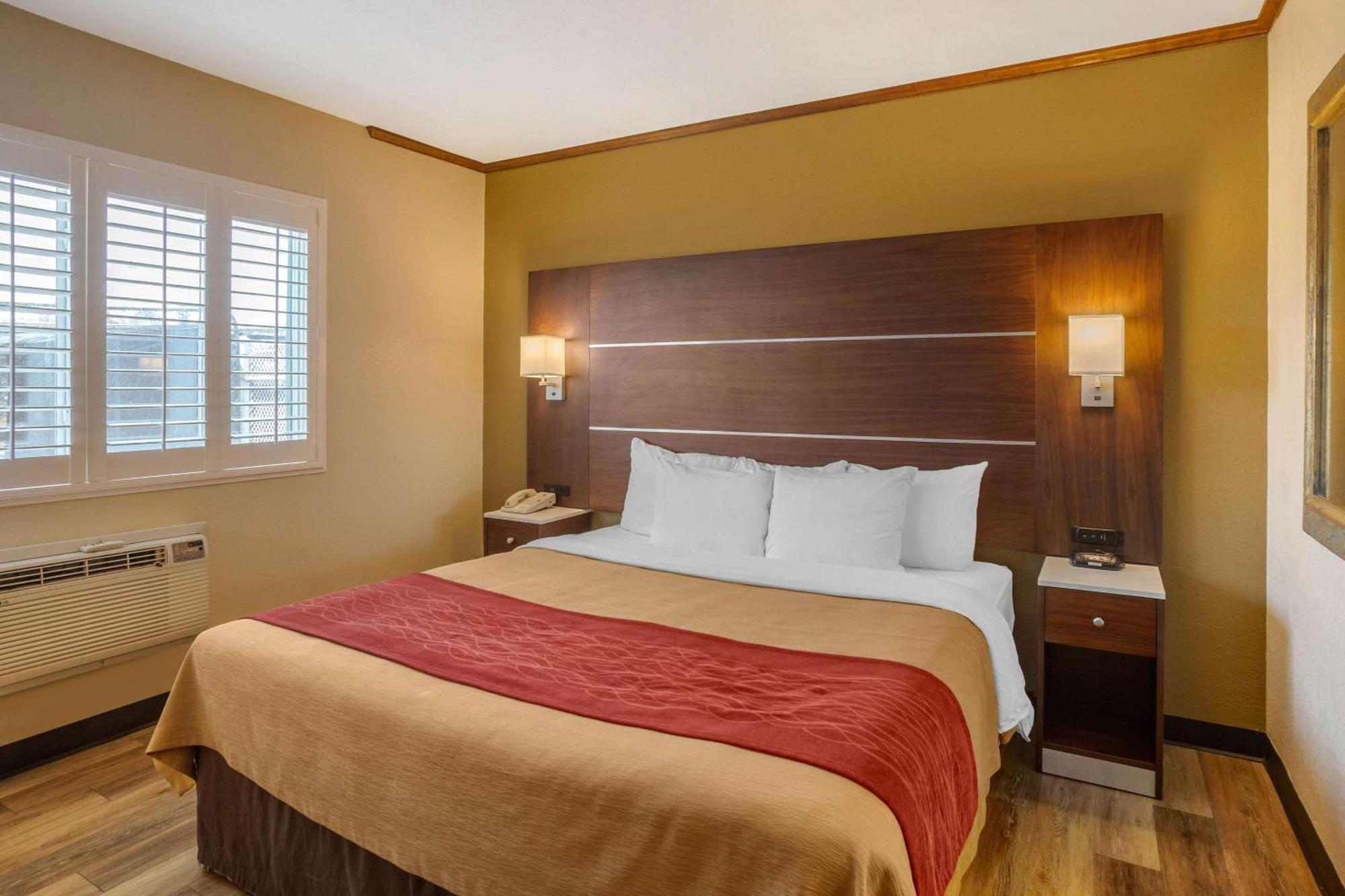 Standard Room, 1 King Bed and 1 Double Bed, Non Smoking