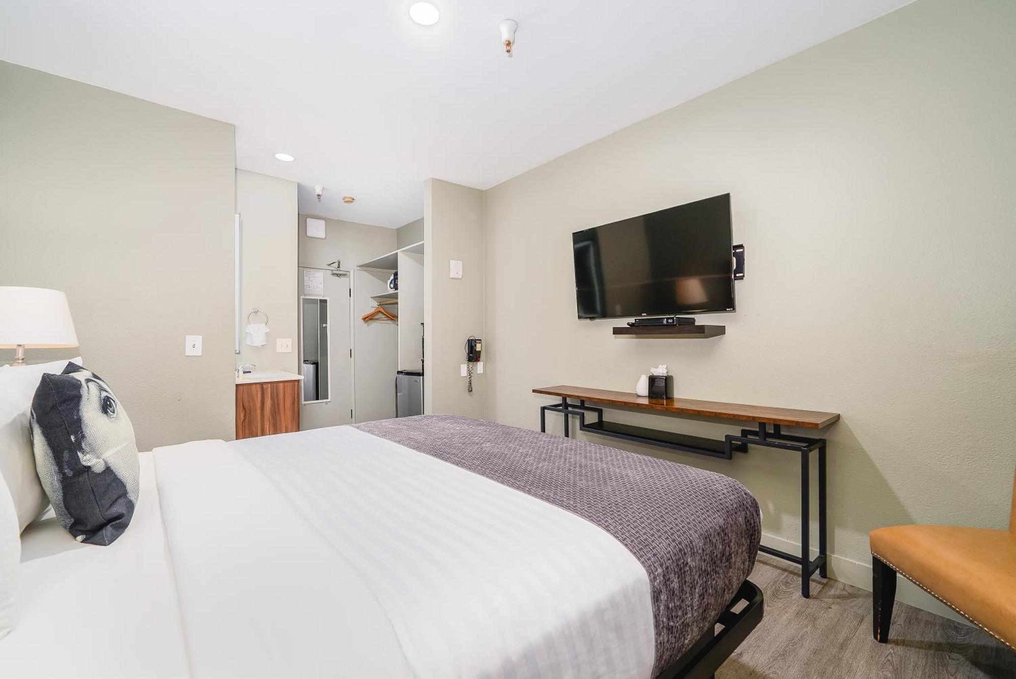 Pet friendly room 1 king bed