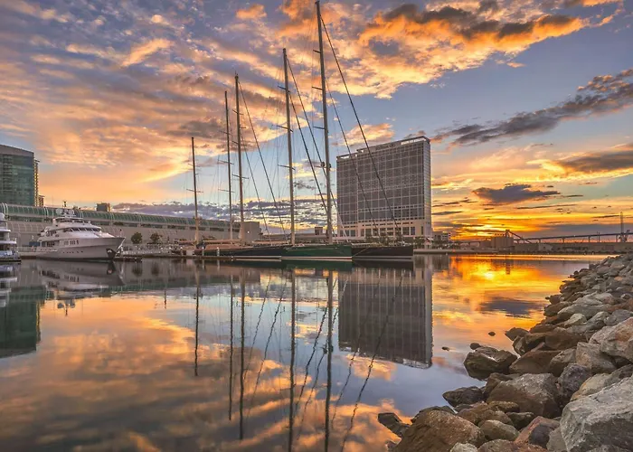 Dog Friendly Hotels San DiegoHilton Bayfront